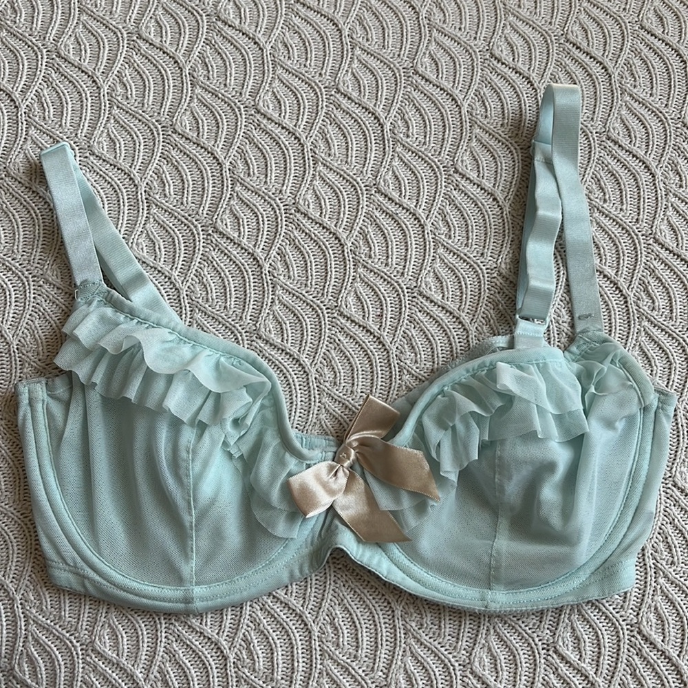 🍃 mint green fringe mesh bra